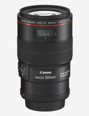 Canon 100mm f/2.8L Macro