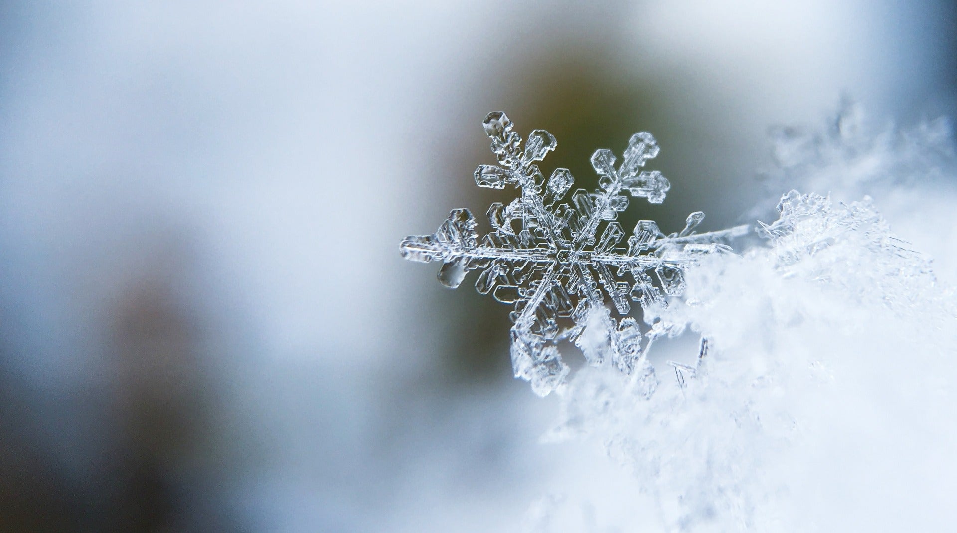 Macro snowflake