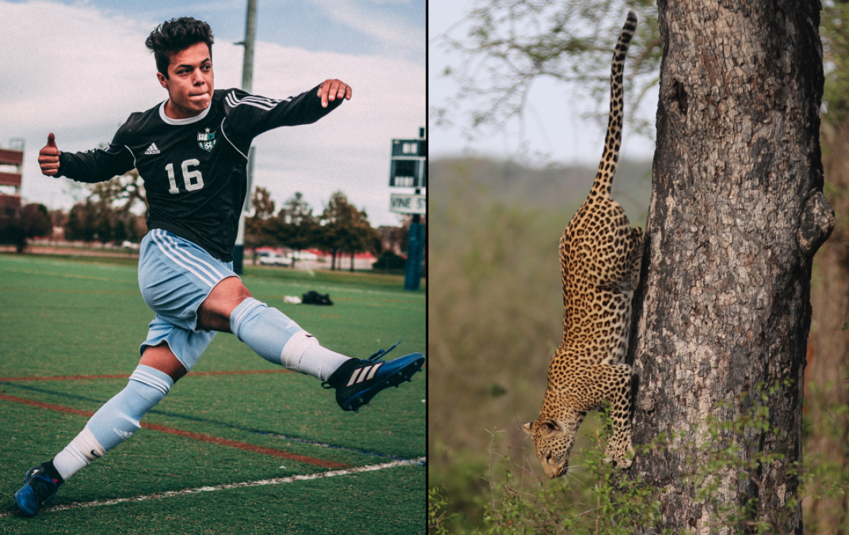 Tips for Using Telephoto Lenses for Sports & Wildlife