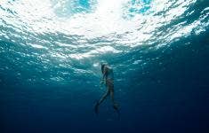 Underwater Cameras - Features and Photography Tips