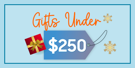 gift-under-250